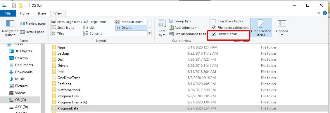 File Explorer - Hidden