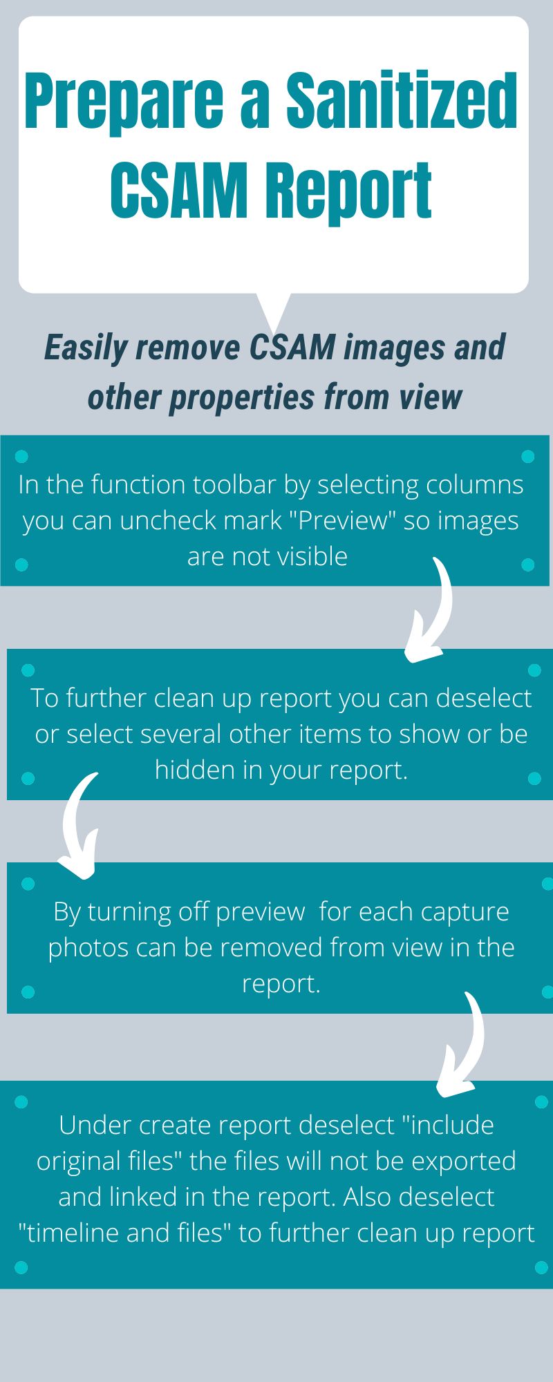 How to Prepare a Sanitized CSAM Report